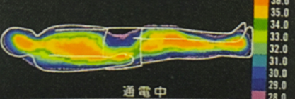 藤枝 ダイエット整体