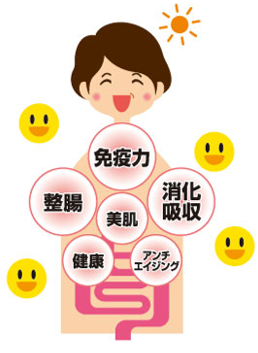 藤枝 ダイエット整体